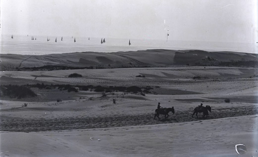 Guardamar informe dunas 1895